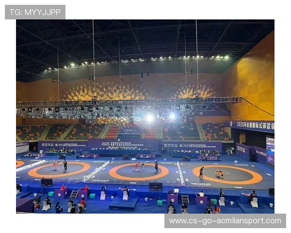 摔跤传统项目焕发新活力，国际赛事布局提升